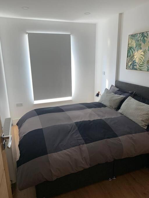 Apartment S-W-4 ロンドン エクステリア 写真